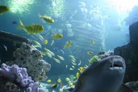 SEA LIFE München