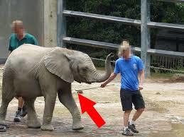 Wuppertaler Zoo