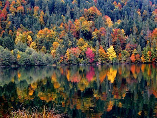 Barmsee