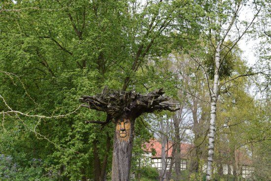 Tierpark Senftenberg