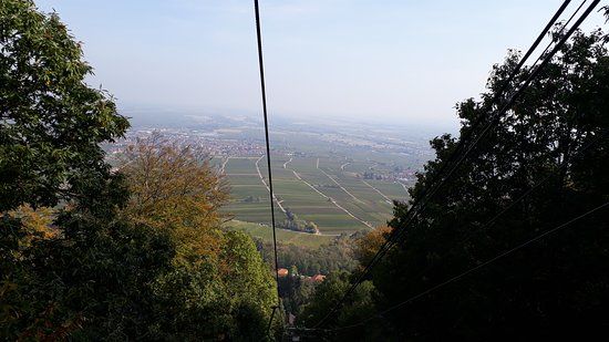 Burgruine Rietburg