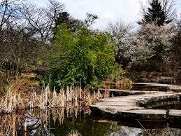 Südpark