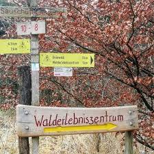 Walderlebniszentrum Grünwald