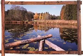 Faulensee