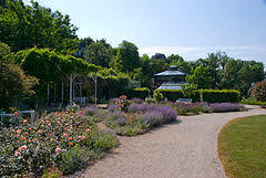 Rosengarten Coburg