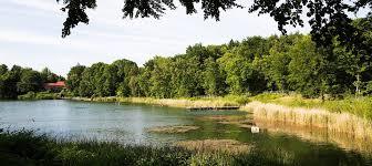 Tonteich