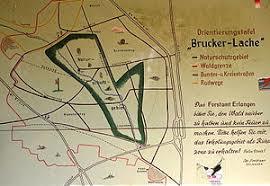 Brucker Lache