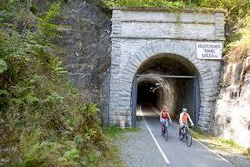 Fledermaustunnel