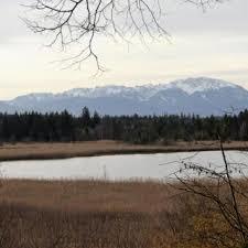 Gartensee