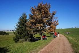 Osterzgebirge