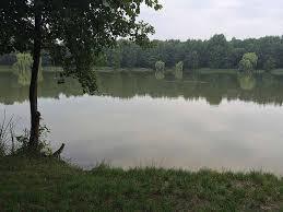 Bordenauer See