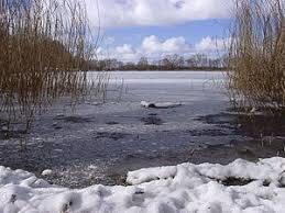 Berenbosteler See
