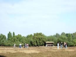 Westruper Heide