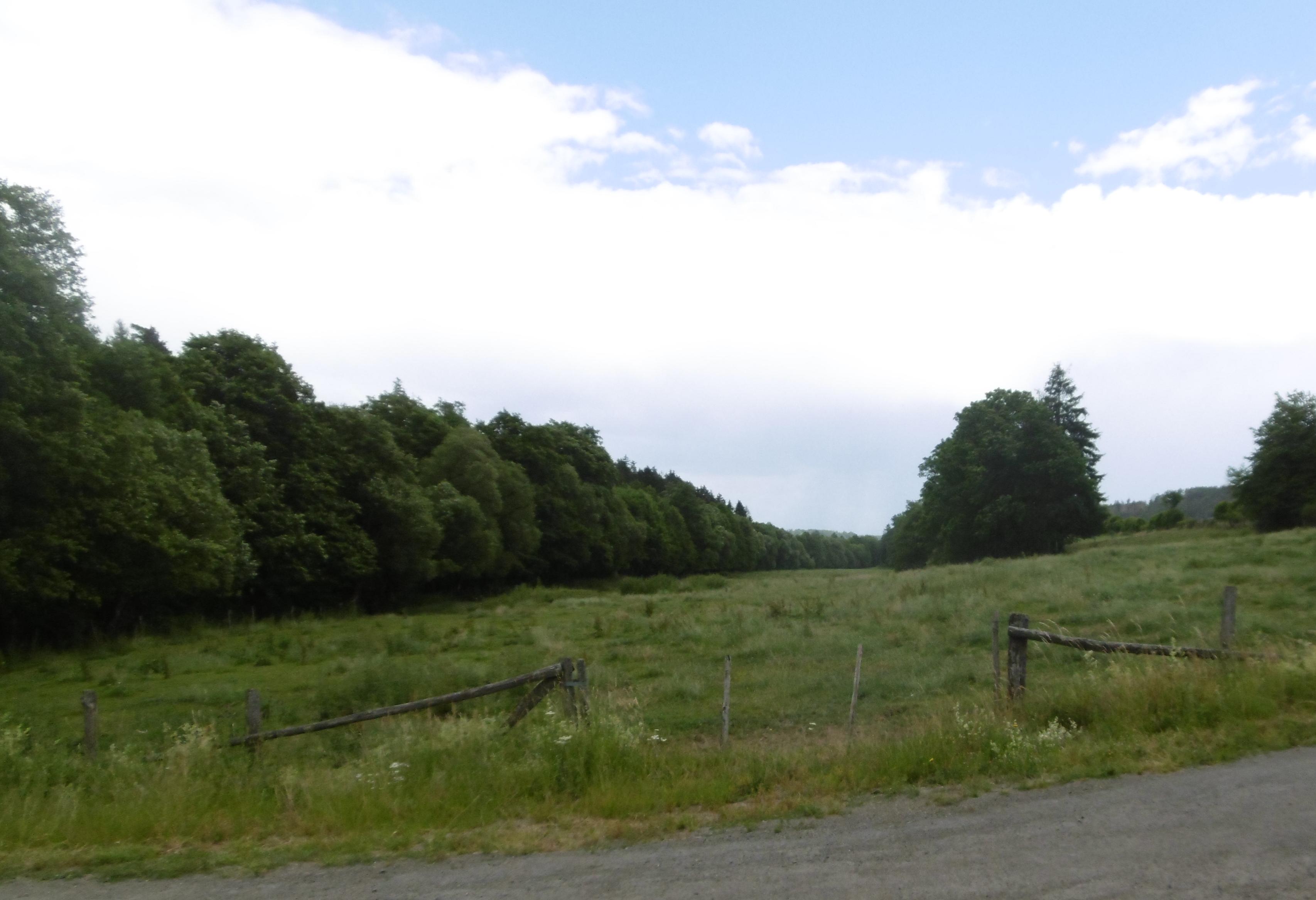 Gelängebachtal