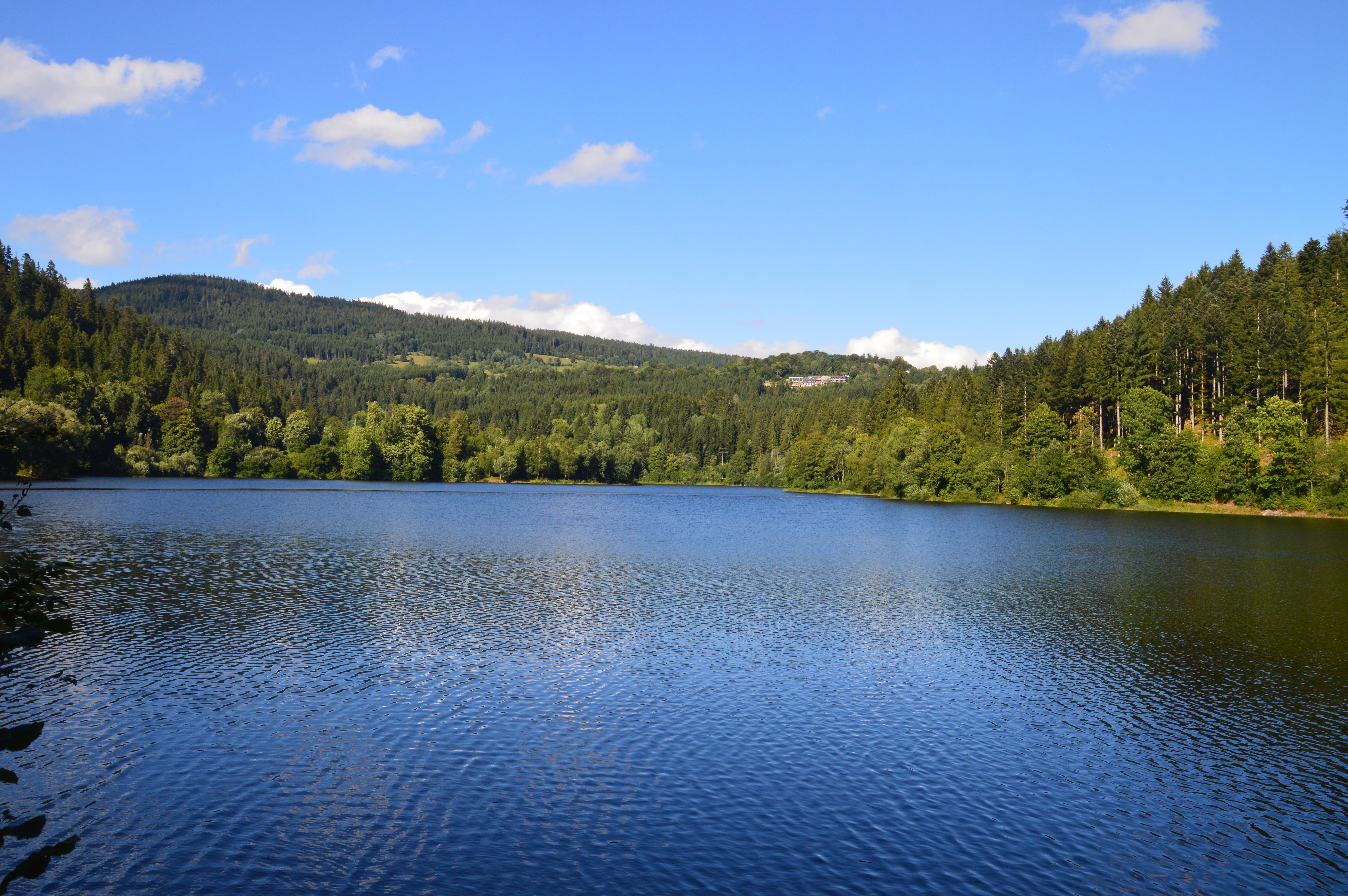 Albbecken