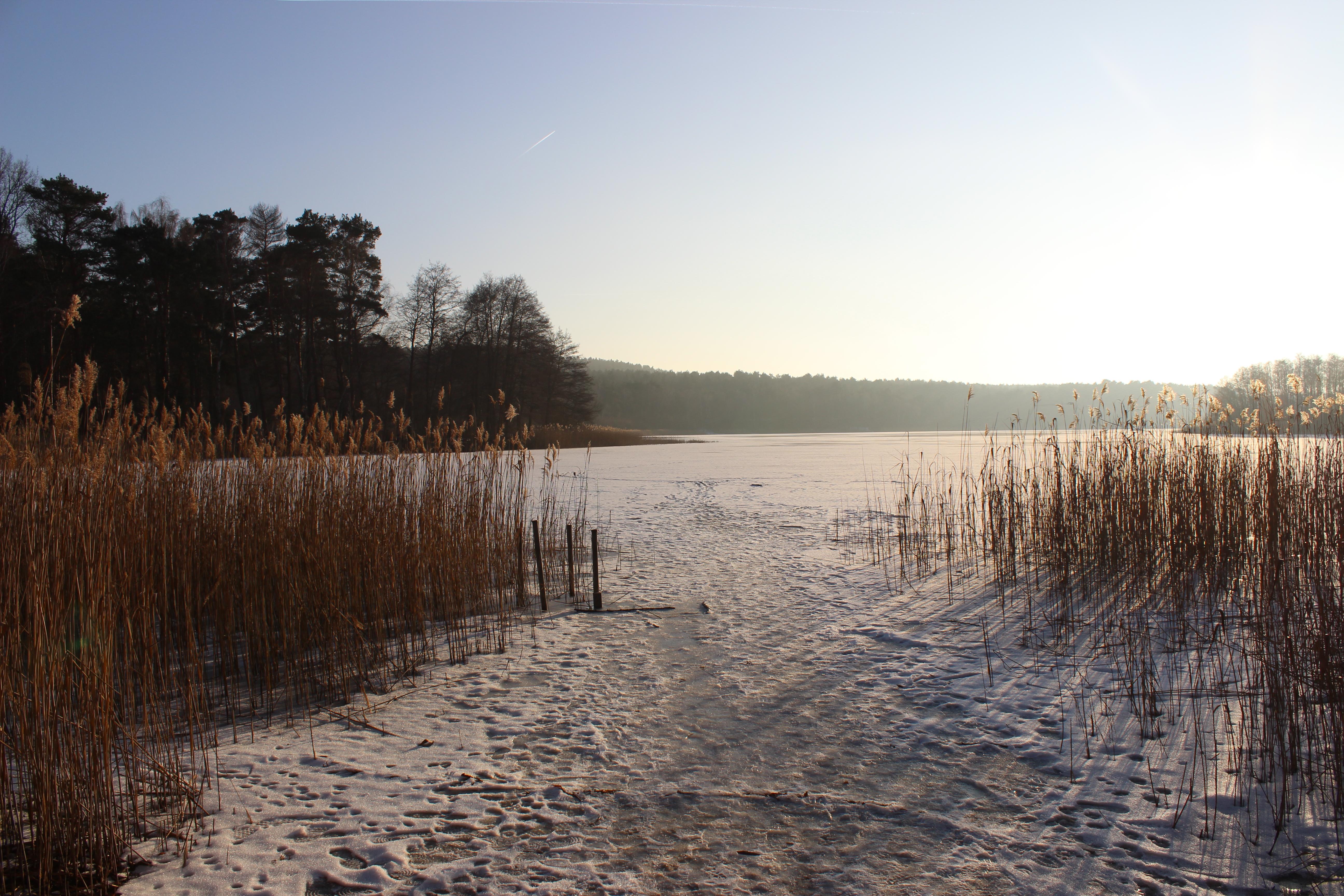 Petersdorfer See