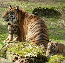 NaturZoo Rheine