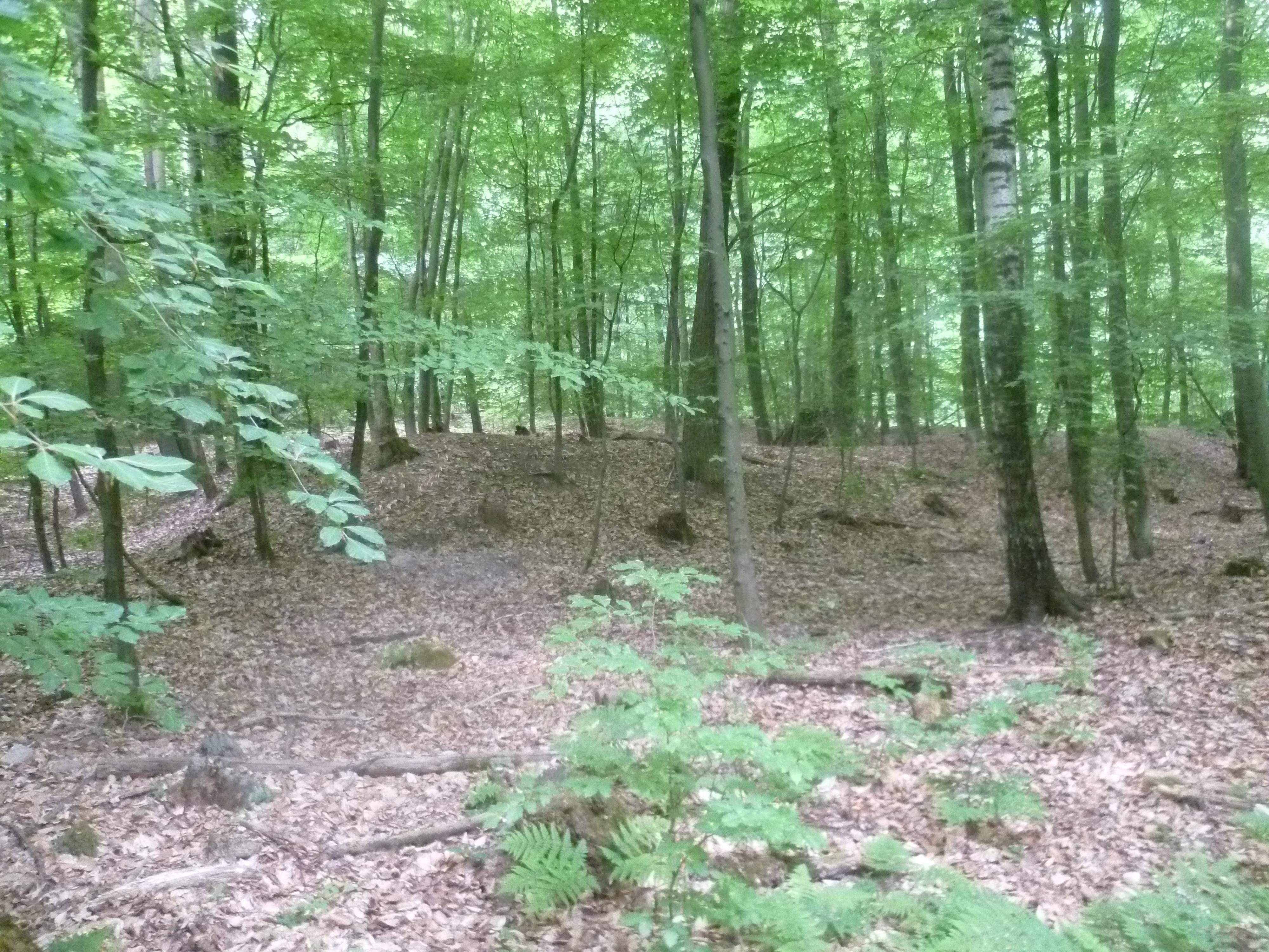 Custine-Schanzen