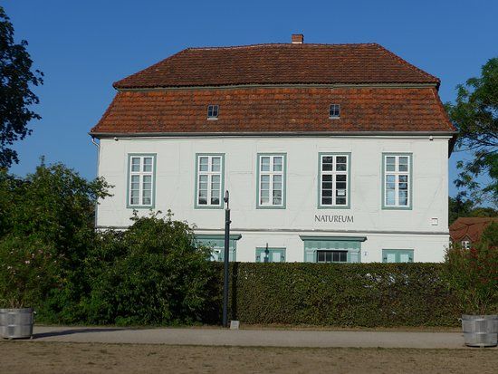 Natureum