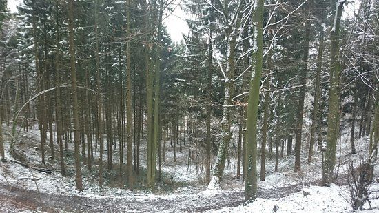 Bismarckturm