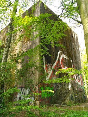 Bunker B31