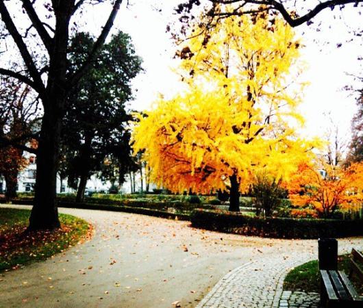 Brentanopark