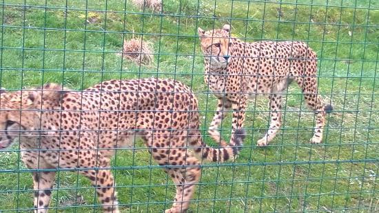 Aachener Tierpark Euregiozoo