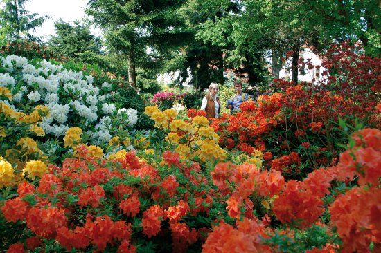 Park der Gärten