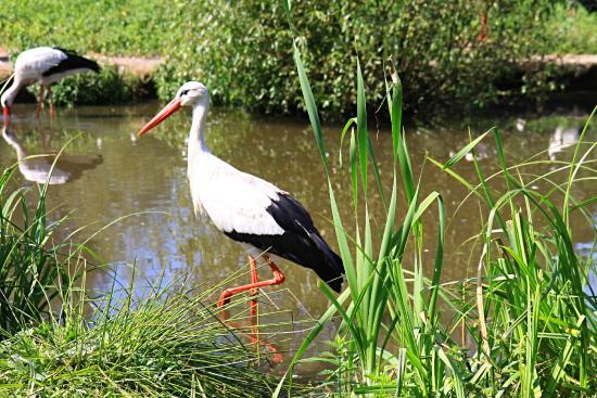 NaturZoo Rheine