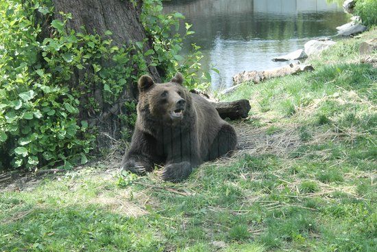 Zoo Hoyerswerda