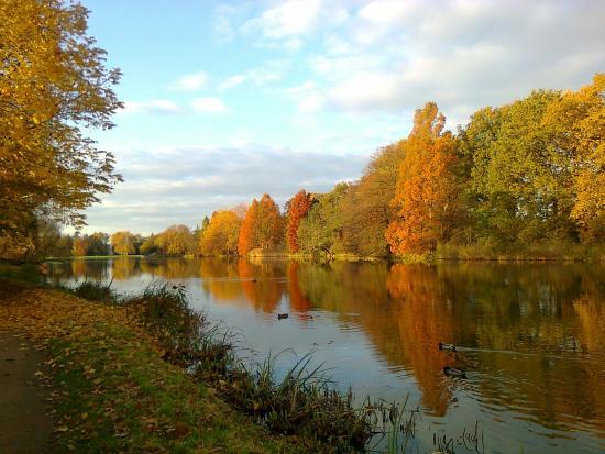 Insel Stein