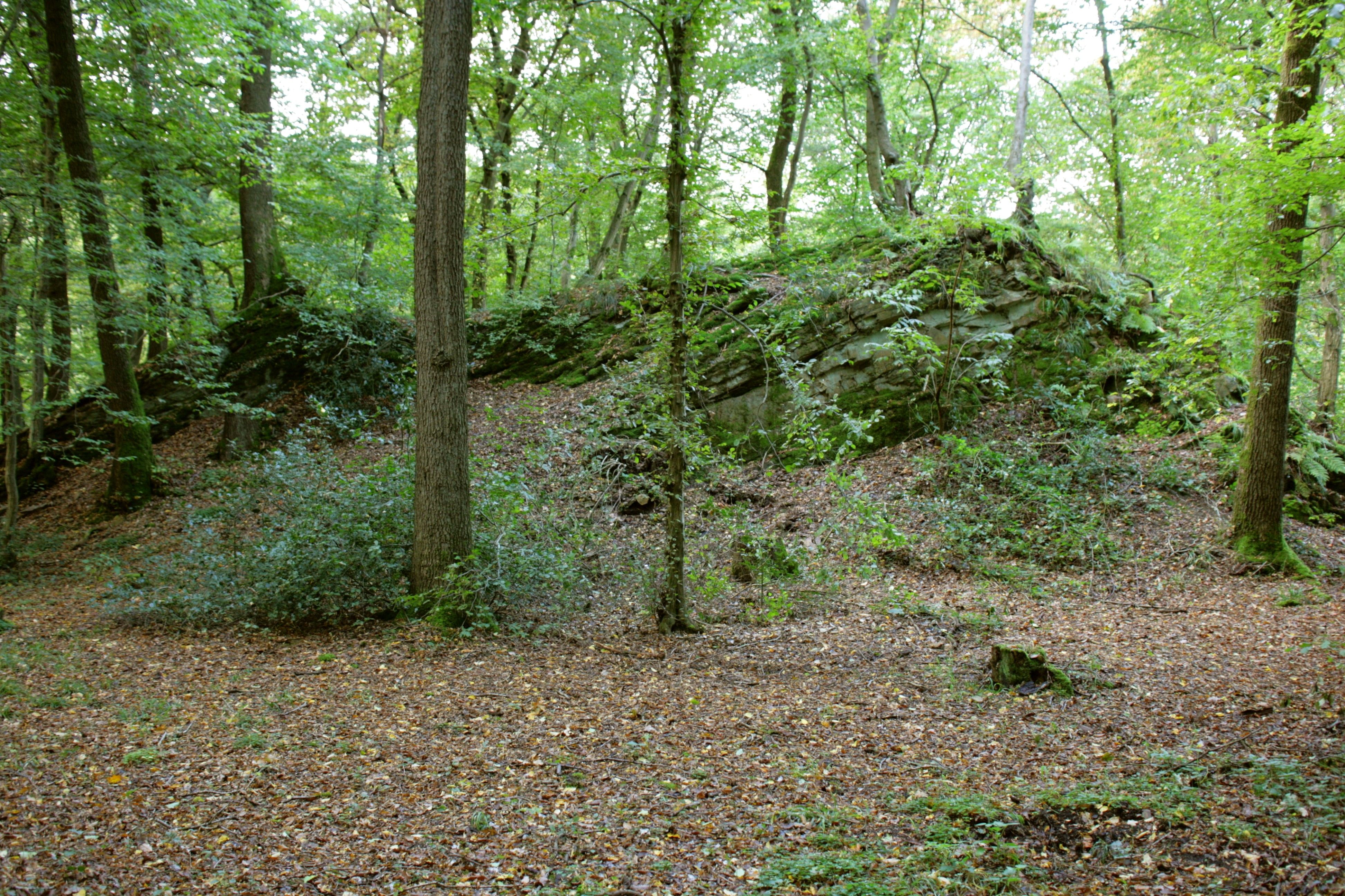 Burg Berge