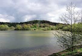 Hummelsee