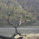 Hofapotheke