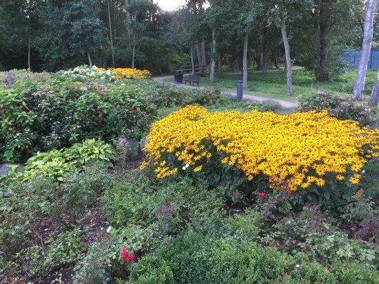 Kurpark
